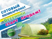Теплица 3*10 метров.